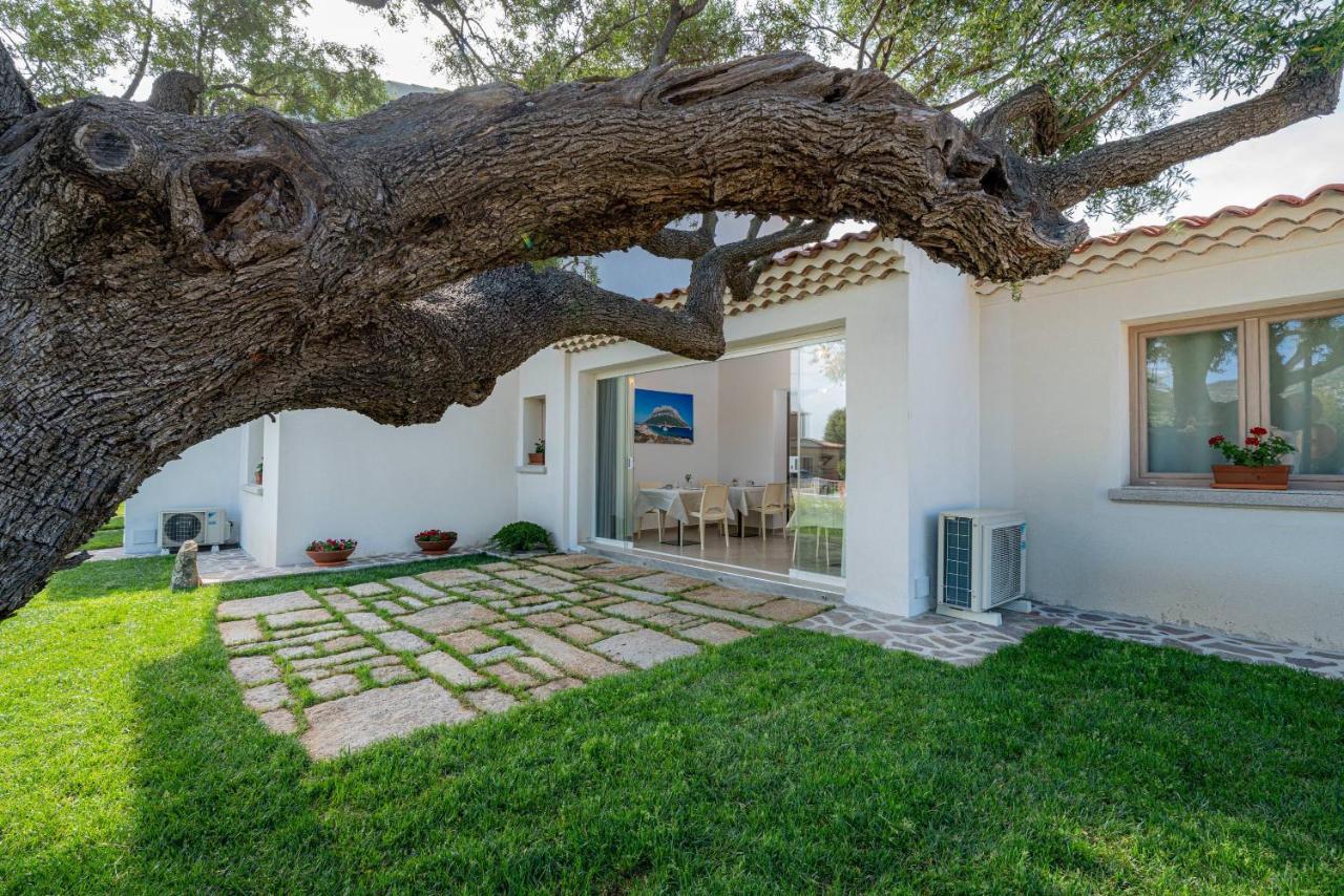 Готель Residenza L'Alzoni Сан-Теодоро Екстер'єр фото
